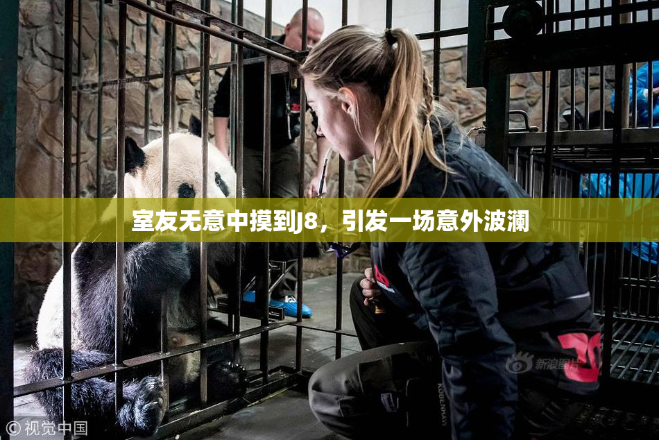 室友无意中摸到J8，引发一场意外波澜