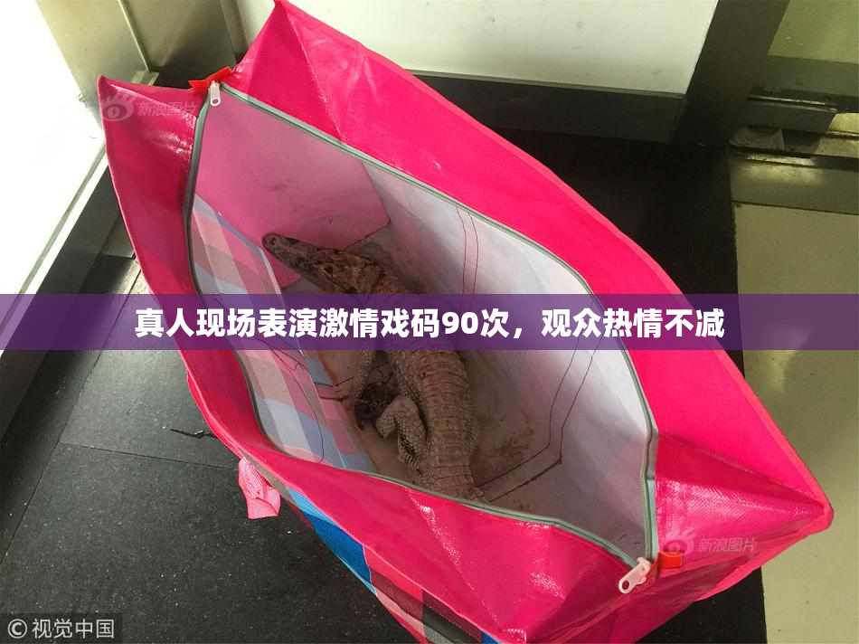 真人现场表演激情戏码90次，观众热情不减