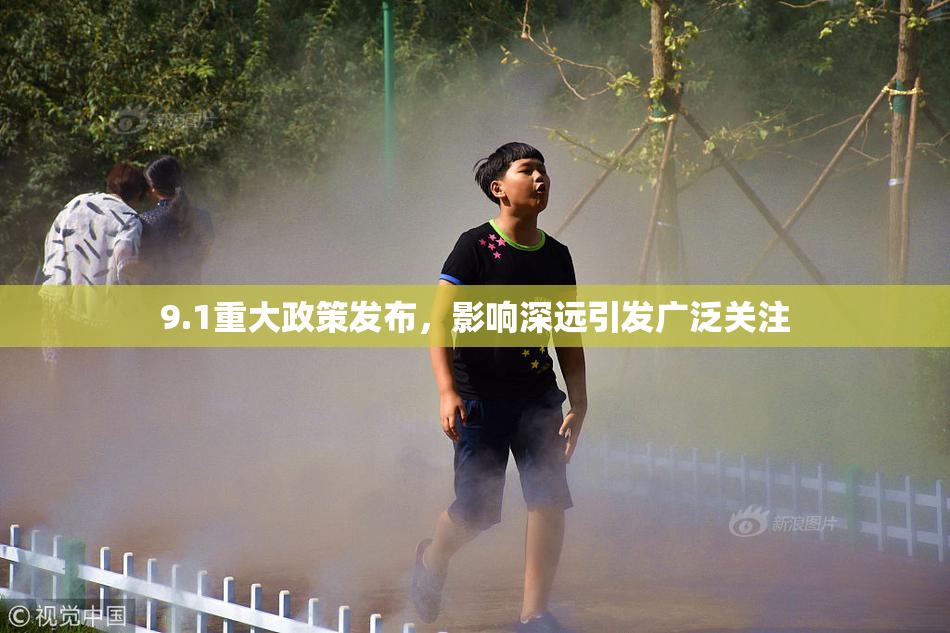 9.1重大政策发布，影响深远引发广泛关注