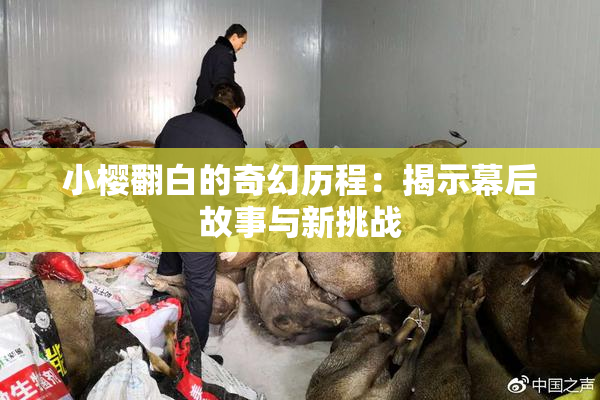 小樱翻白的奇幻历程：揭示幕后故事与新挑战