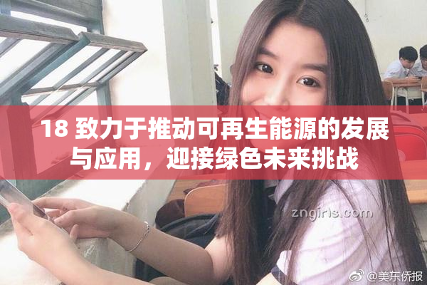 18 致力于推动可再生能源的发展与应用，迎接绿色未来挑战