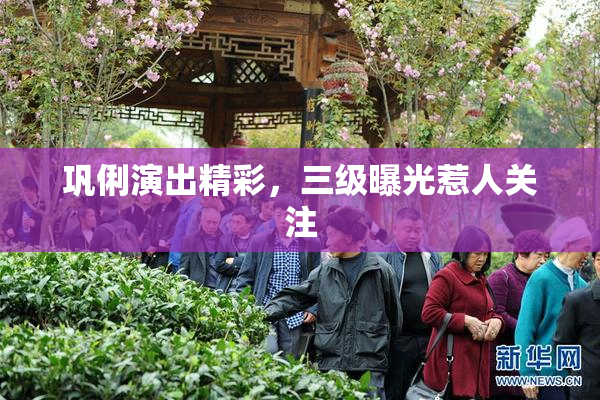 巩俐演出精彩，三级曝光惹人关注