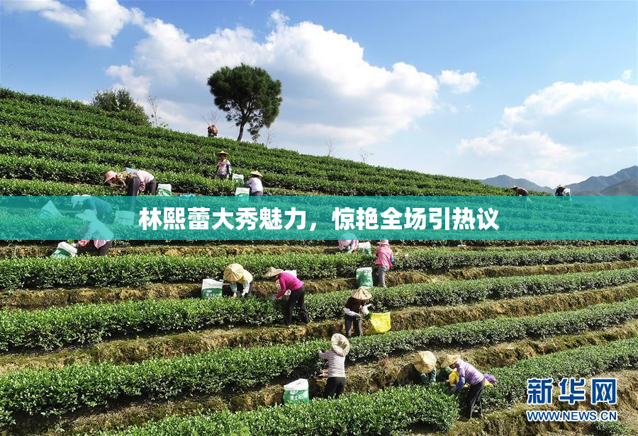 林熙蕾大秀魅力，惊艳全场引热议