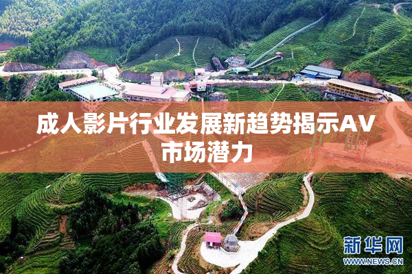 成人影片行业发展新趋势揭示AV市场潜力