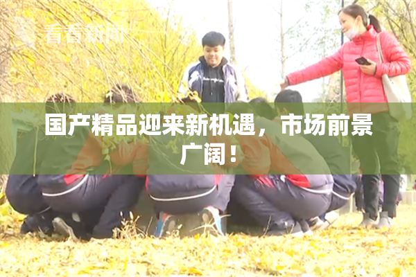 国产精品迎来新机遇，市场前景广阔！