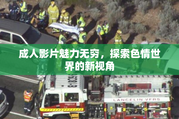 成人影片魅力无穷，探索色情世界的新视角