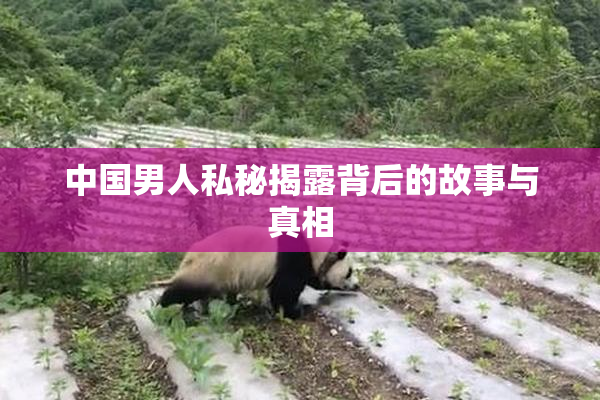 中国男人私秘揭露背后的故事与真相