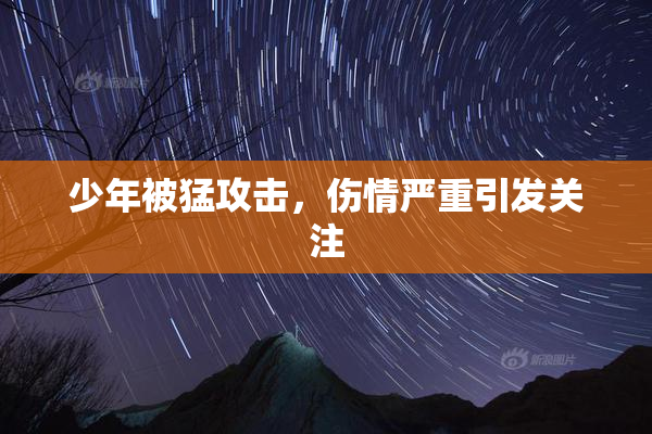 少年被猛攻击，伤情严重引发关注