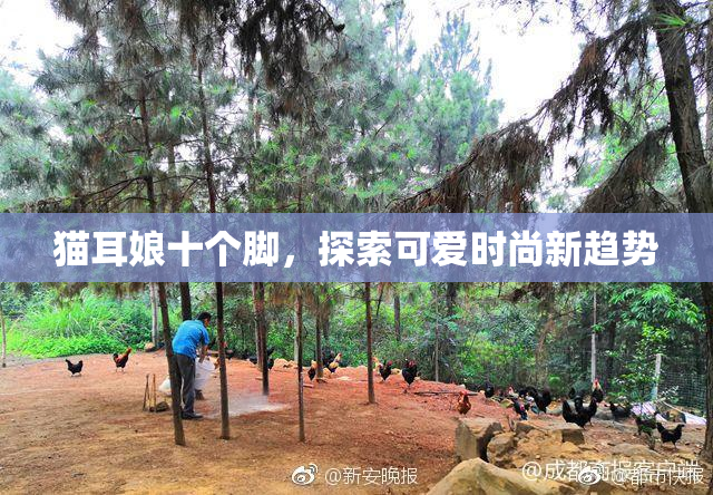 猫耳娘十个脚，探索可爱时尚新趋势