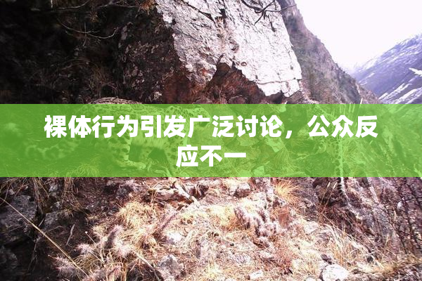 裸体行为引发广泛讨论，公众反应不一