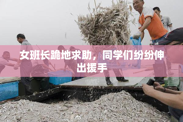 女班长跪地求助，同学们纷纷伸出援手