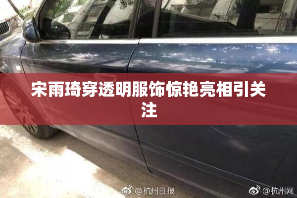 宋雨琦穿透明服饰惊艳亮相引关注