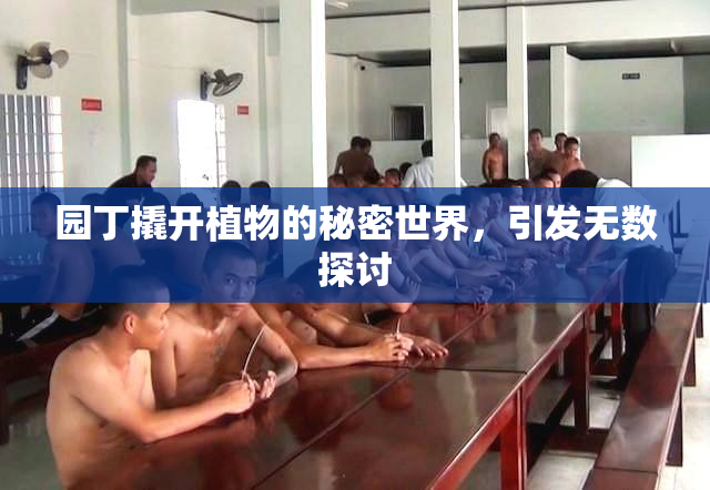 园丁撬开植物的秘密世界，引发无数探讨