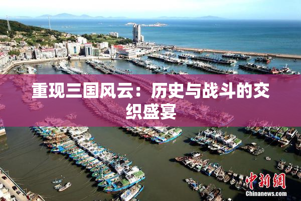 重现三国风云：历史与战斗的交织盛宴