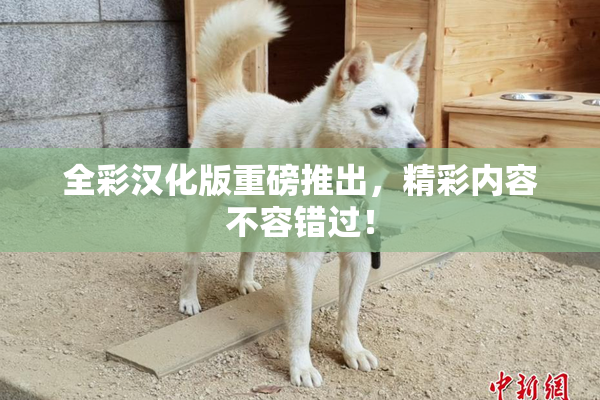 全彩汉化版重磅推出，精彩内容不容错过！