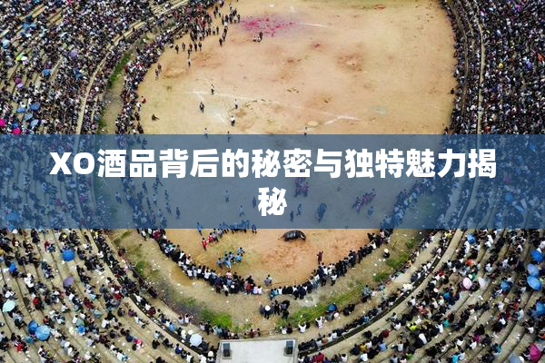 XO酒品背后的秘密与独特魅力揭秘