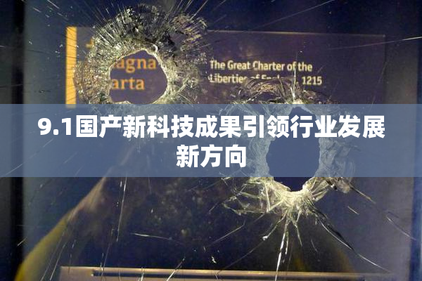 9.1国产新科技成果引领行业发展新方向