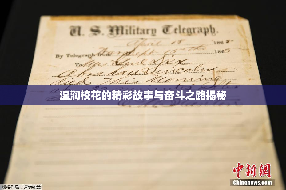 湿润校花的精彩故事与奋斗之路揭秘
