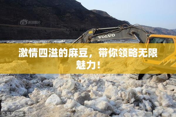 激情四溢的麻豆，带你领略无限魅力！