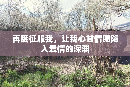 再度征服我，让我心甘情愿陷入爱情的深渊