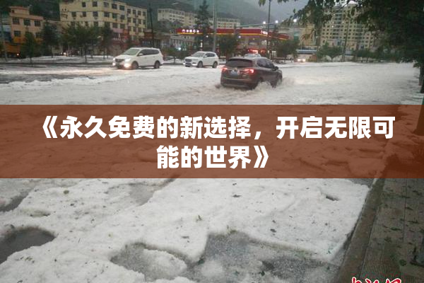 《永久免费的新选择，开启无限可能的世界》