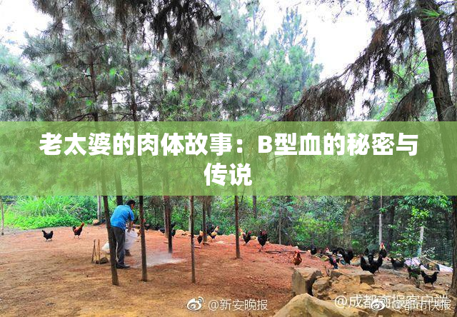 老太婆的肉体故事：B型血的秘密与传说