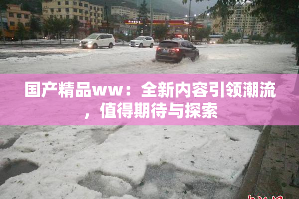 国产精品ww：全新内容引领潮流，值得期待与探索