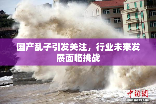 国产乱子引发关注，行业未来发展面临挑战