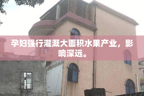 孕妇强行灌溉大面积水果产业，影响深远。