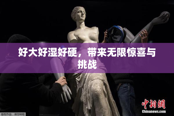 好大好湿好硬，带来无限惊喜与挑战