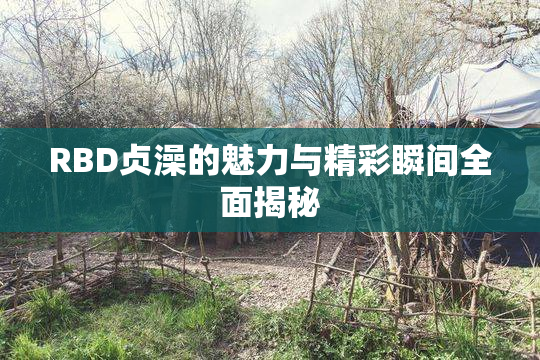 RBD贞澡的魅力与精彩瞬间全面揭秘