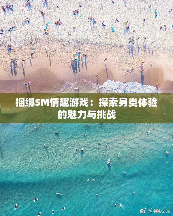 捆绑SM情趣游戏：探索另类体验的魅力与挑战