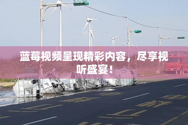 蓝莓视频呈现精彩内容，尽享视听盛宴！