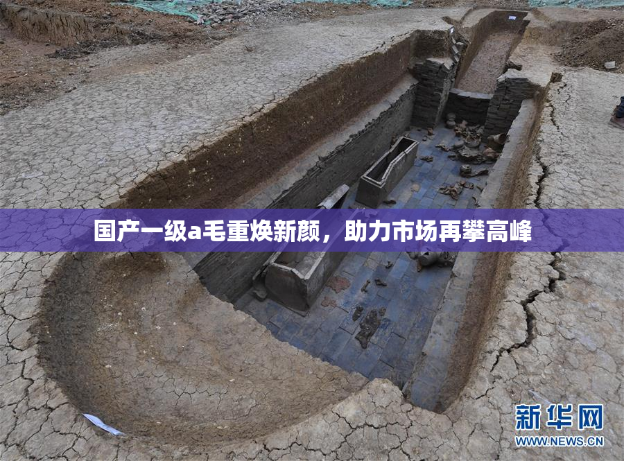 国产一级a毛重焕新颜，助力市场再攀高峰