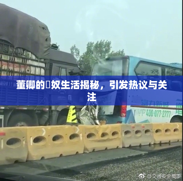 董卿的婬奴生活揭秘，引发热议与关注