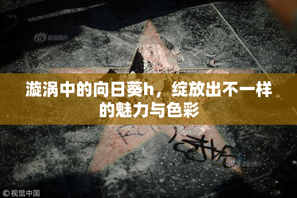 漩涡中的向日葵h，绽放出不一样的魅力与色彩