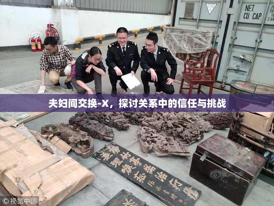 夫妇间交换-X，探讨关系中的信任与挑战