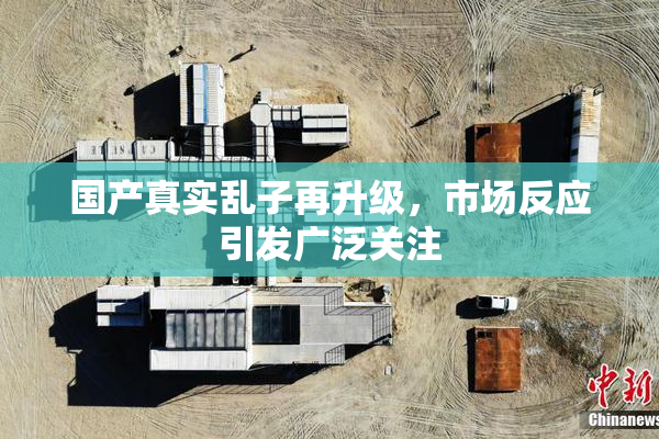 国产真实乱子再升级，市场反应引发广泛关注