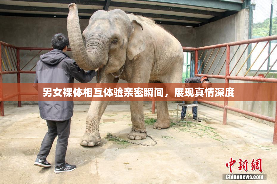 男女裸体相互体验亲密瞬间，展现真情深度