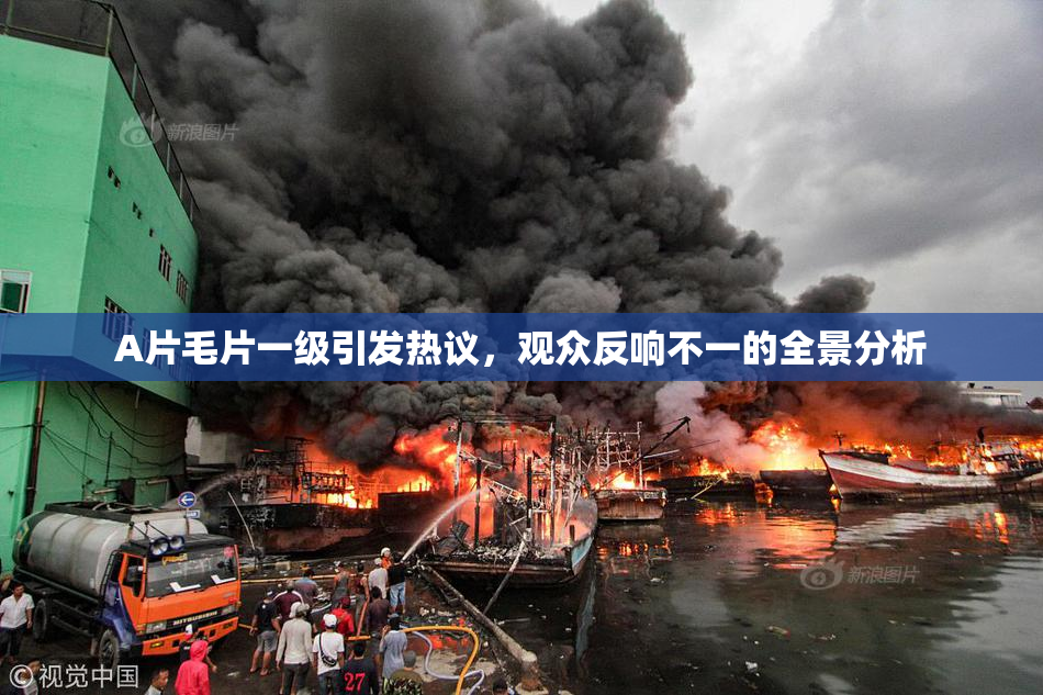A片毛片一级引发热议，观众反响不一的全景分析
