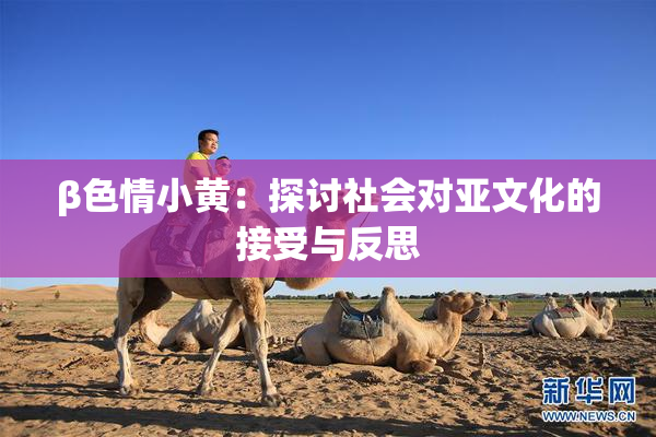 β色情小黄：探讨社会对亚文化的接受与反思