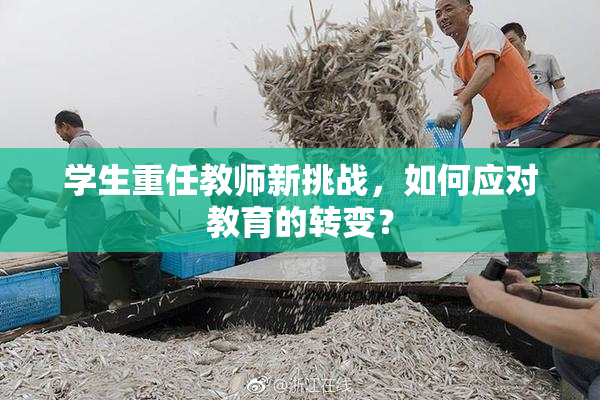 学生重任教师新挑战，如何应对教育的转变？