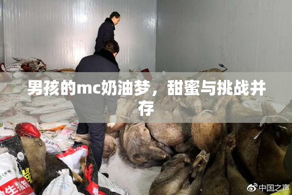 男孩的mc奶油梦，甜蜜与挑战并存
