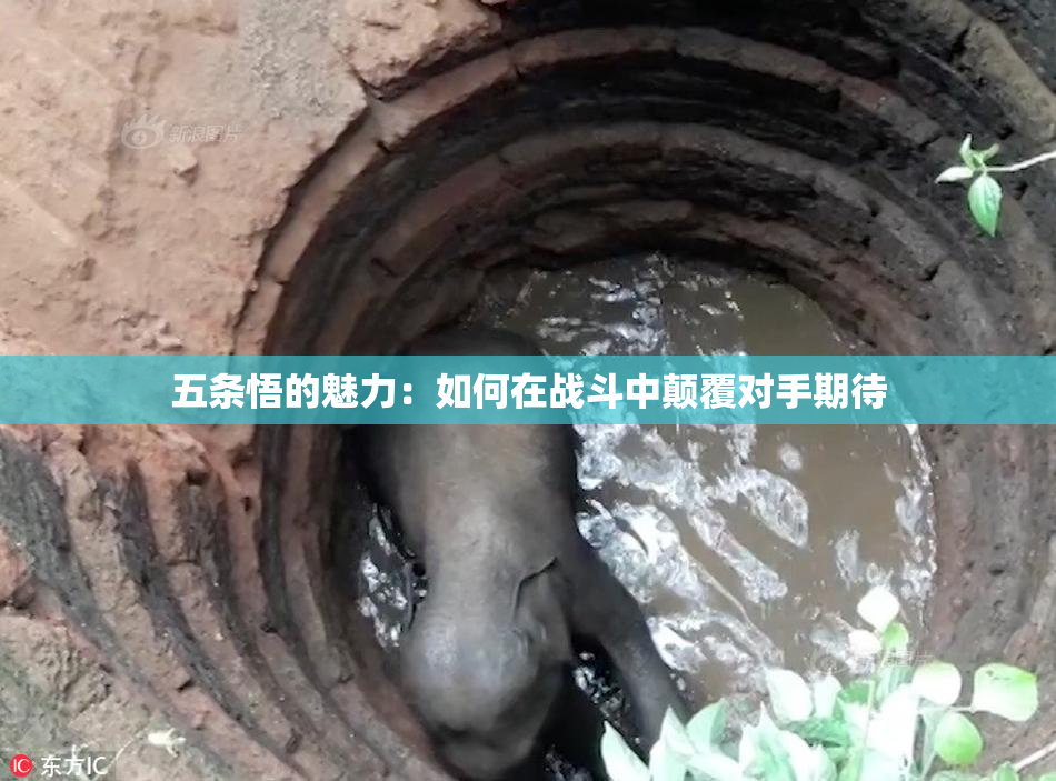五条悟的魅力：如何在战斗中颠覆对手期待