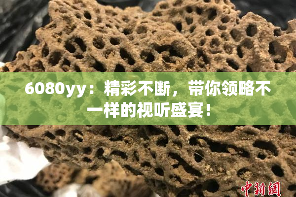 6080yy：精彩不断，带你领略不一样的视听盛宴！