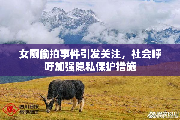 女厕偷拍事件引发关注，社会呼吁加强隐私保护措施