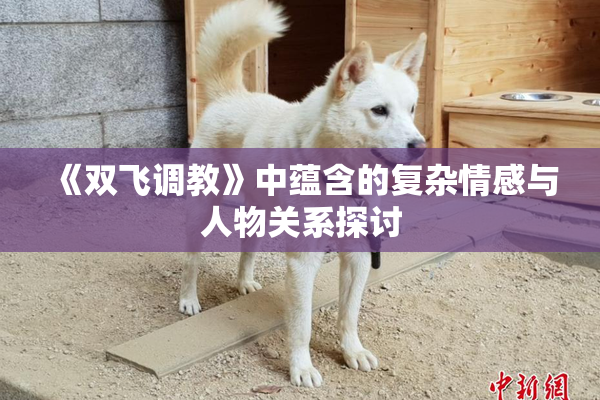 《双飞调教》中蕴含的复杂情感与人物关系探讨