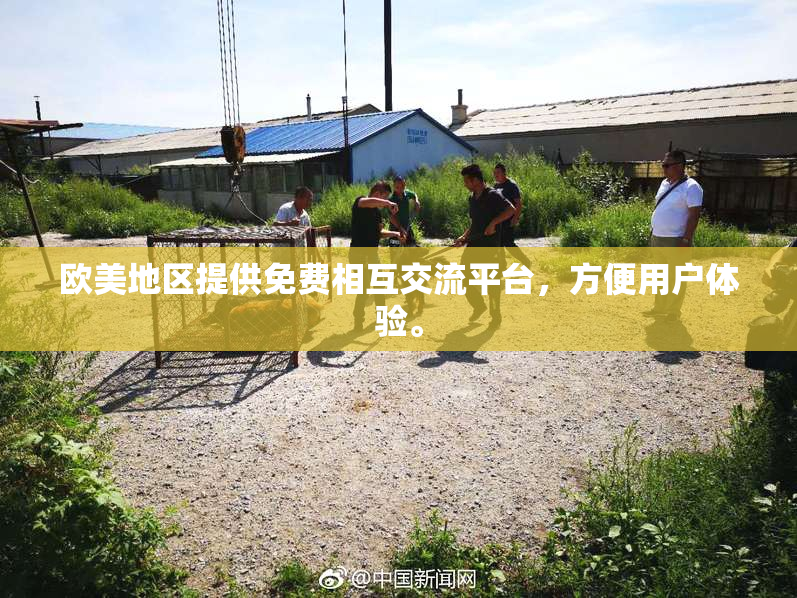 欧美地区提供免费相互交流平台，方便用户体验。