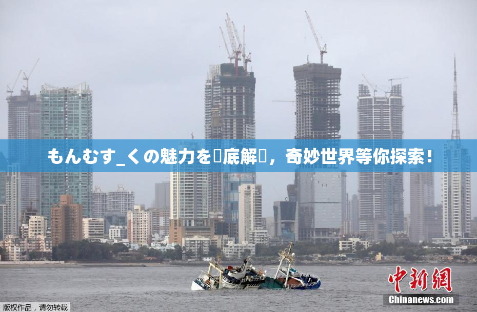 もんむす_くの魅力を徹底解説，奇妙世界等你探索！