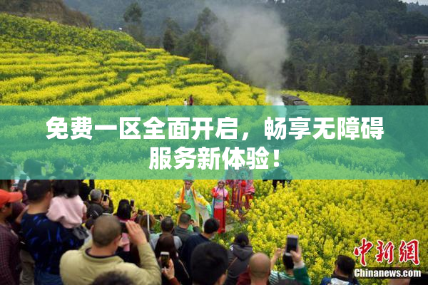免费一区全面开启，畅享无障碍服务新体验！